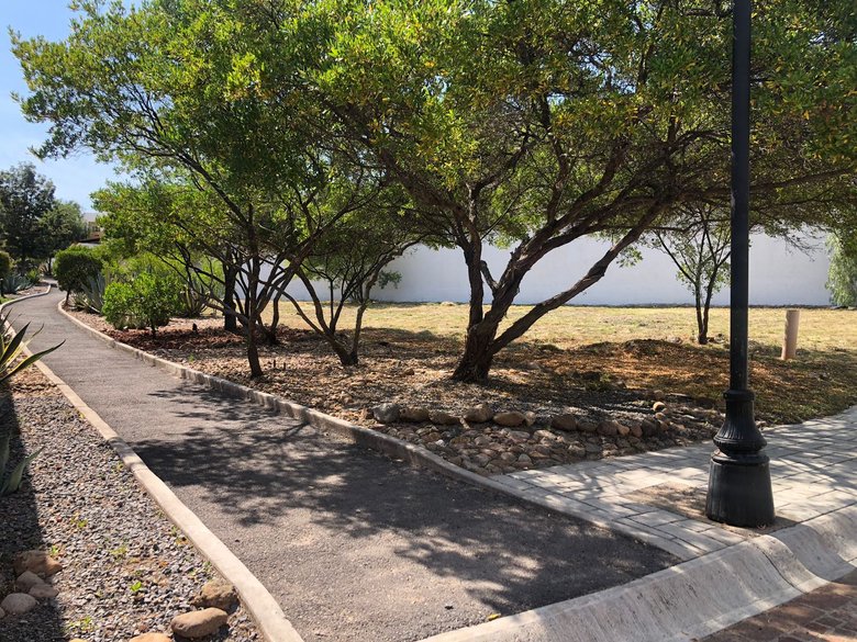 Lote Agave, Vista Antigua — 7 photos