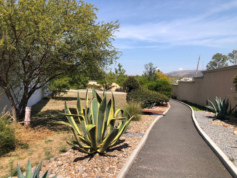 Lote Agave, Vista Antigua — 5 photos