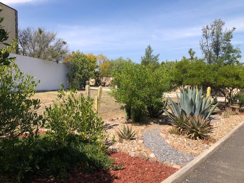 Lote Agave, Vista Antigua — 6 photos