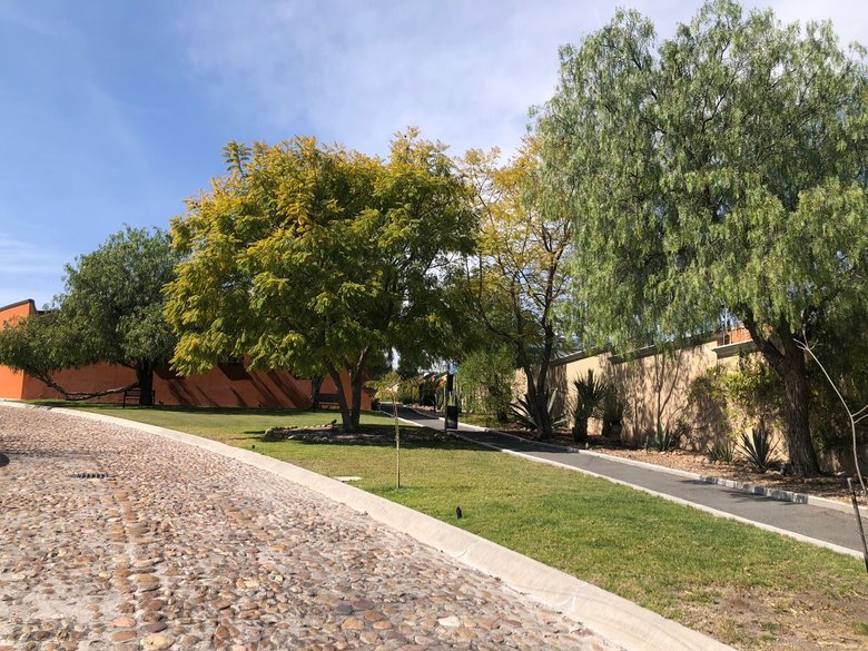 Lote Agave, Vista Antigua — 8 photos