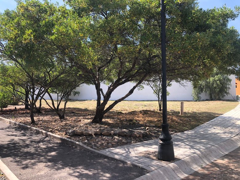 Lote Agave, Vista Antigua — 10 photos