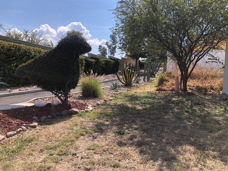 Lote Agave, Vista Antigua — 3 photos