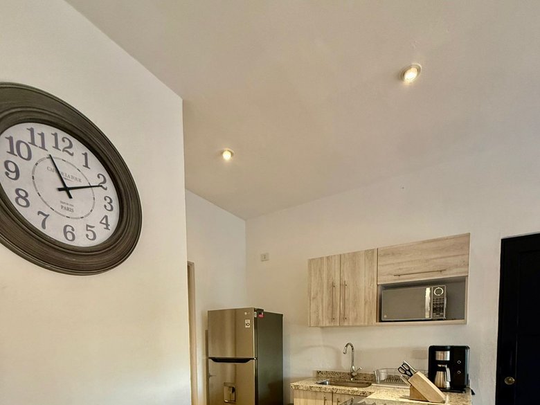 Penthouse Apartment for rent  — 10 photos