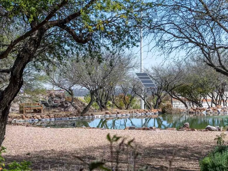 San Miguel Oasis — 22 photos