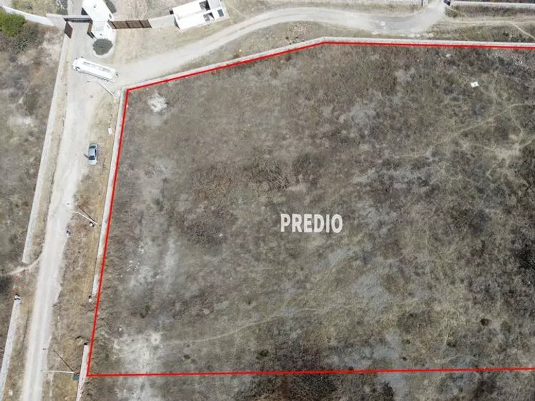 Terreno Piantre — 5 photos