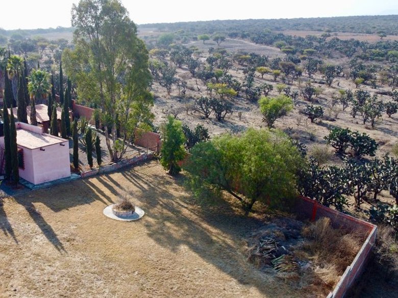 Ranchito Palo Dulzar — 10 photos