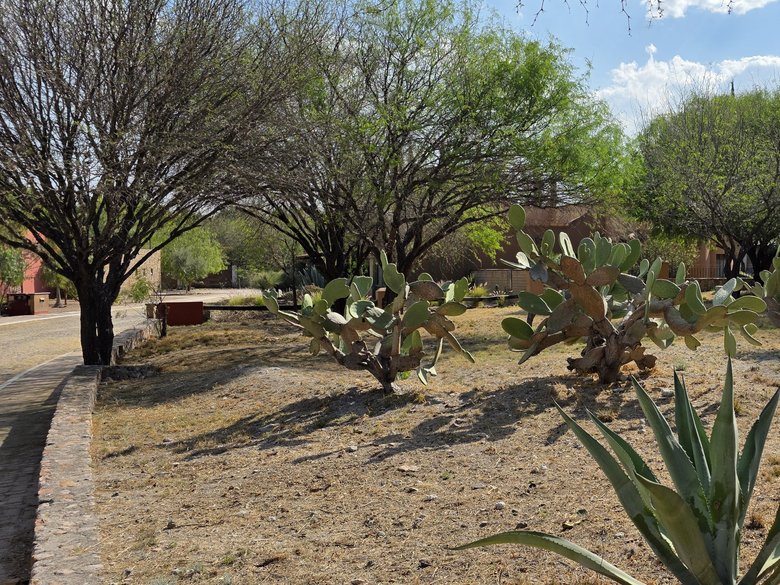 Lot for Sale in Los Labradores, San Miguel de Allende  — 11 photos