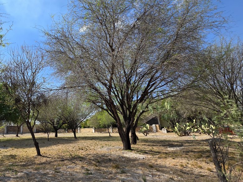 Lot for Sale in Los Labradores, San Miguel de Allende  — 4 photos