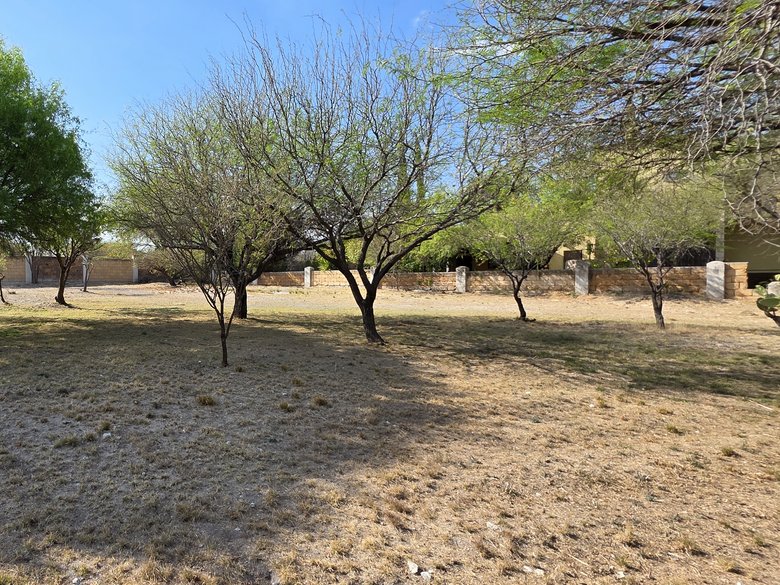 Lot for Sale in Los Labradores, San Miguel de Allende  — 6 photos