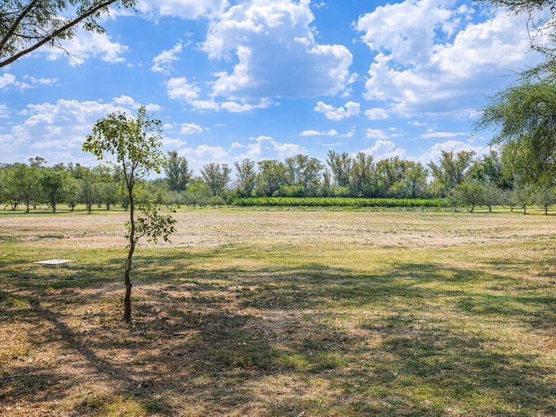 Lote Viñedo San Lucas — 2 fotos