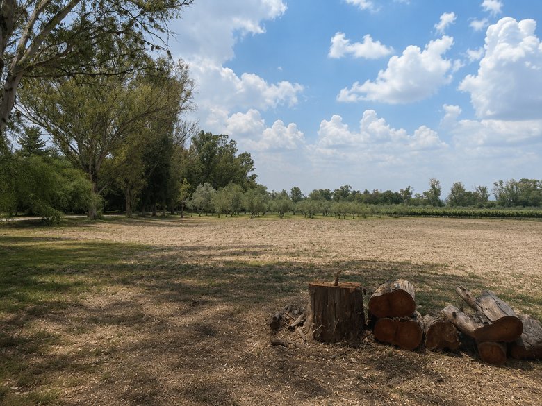 Lote Viñedo San Lucas — 5 fotos