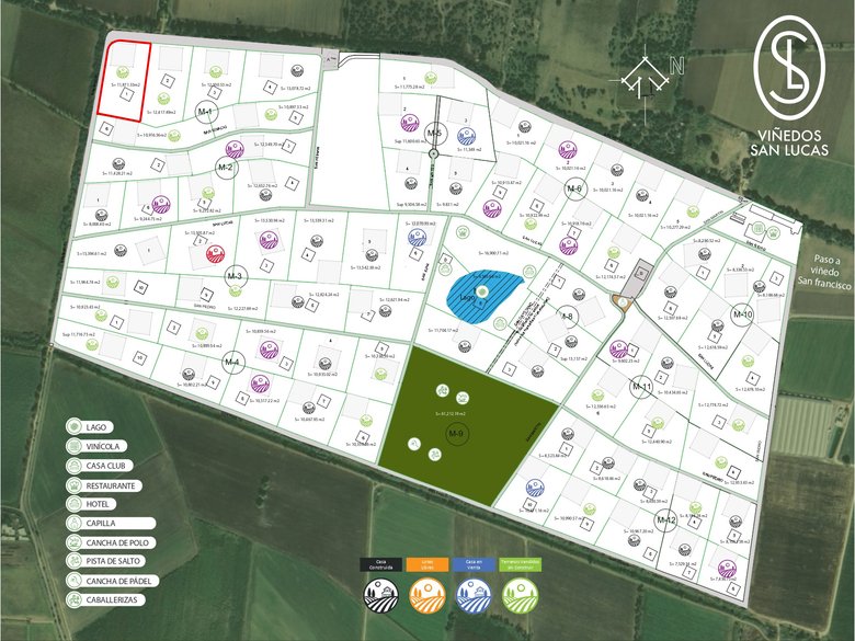 Lote Viñedo San Lucas — 7 fotos