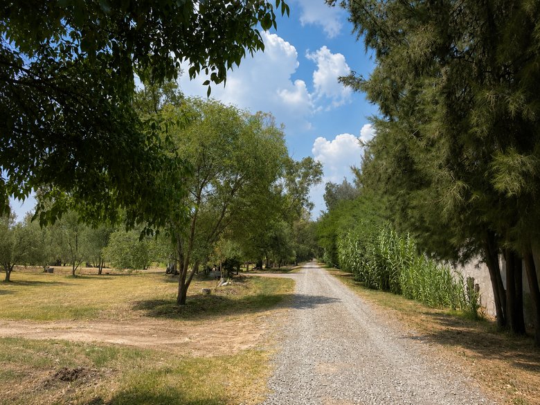 Lote Viñedo San Lucas — 6 fotos