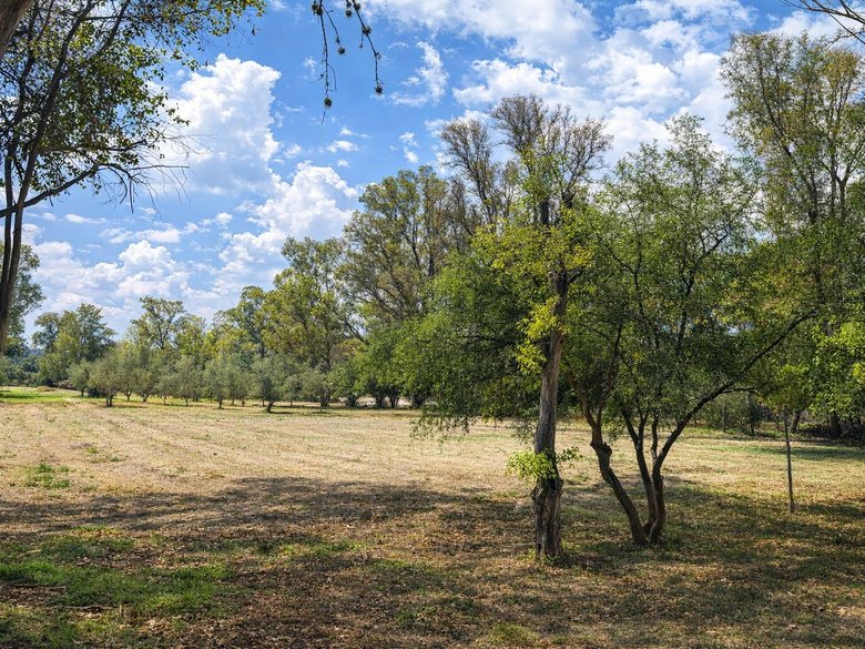 Lote Viñedo San Lucas — 3 fotos