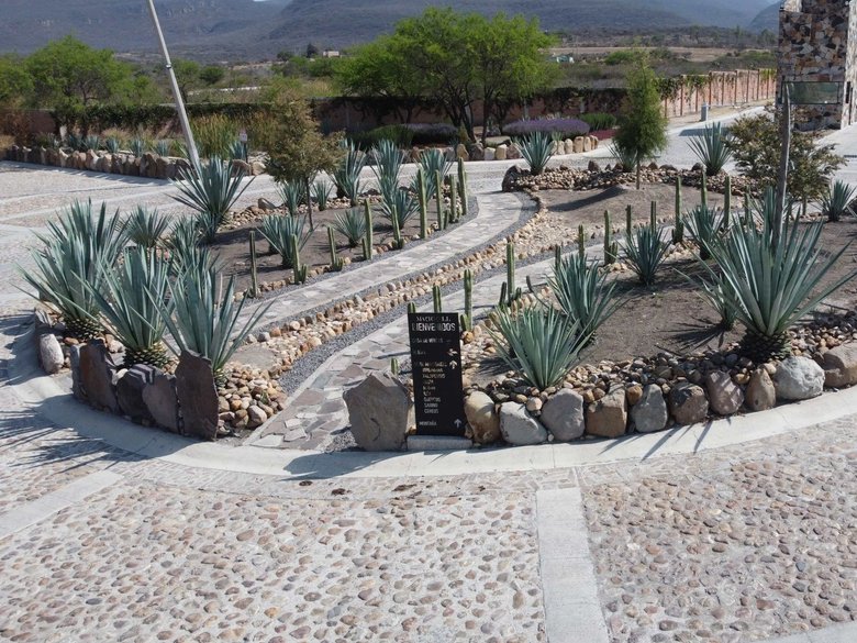 Lote La Gota — 3 photos