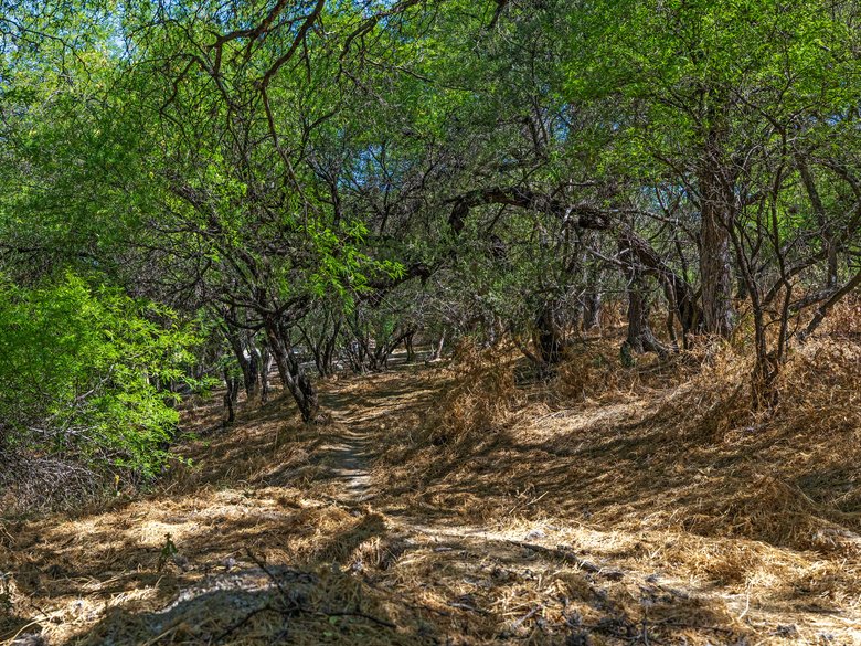 Piece of land in Los Lopez, near the river, the dam, and the historic Silver Road — 12 photos