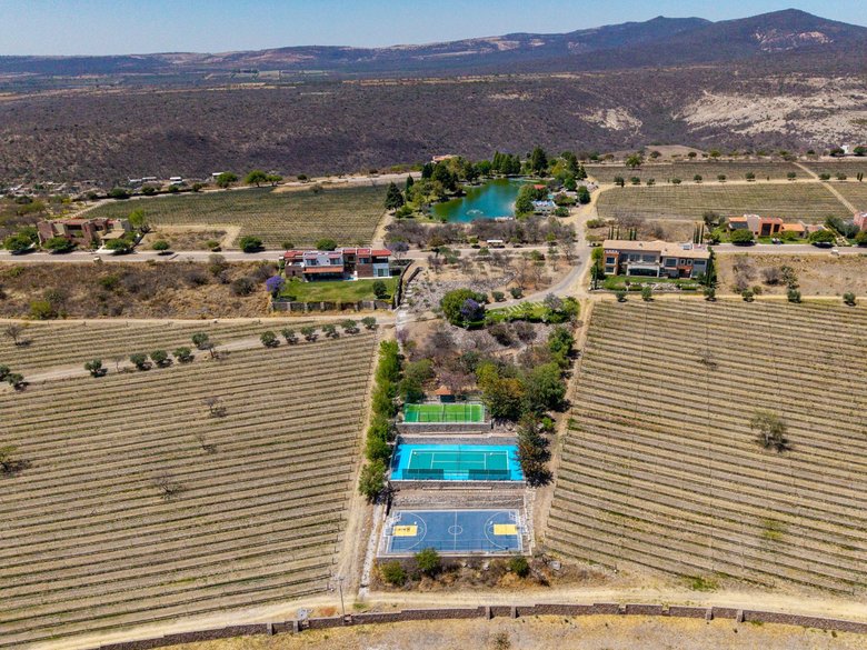 LOTE MERLOT — 7 photos