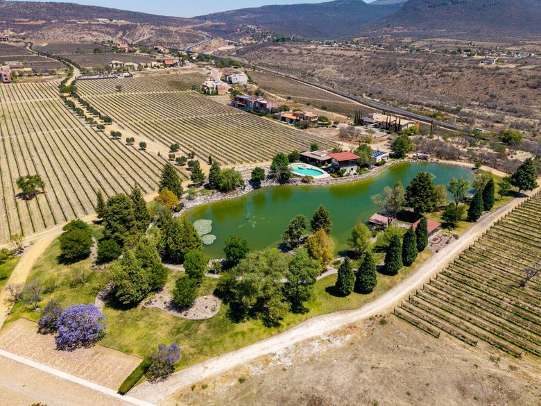 LOTE MERLOT — 6 photos