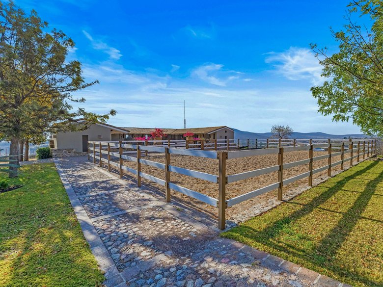 LOTE MERLOT — 8 photos