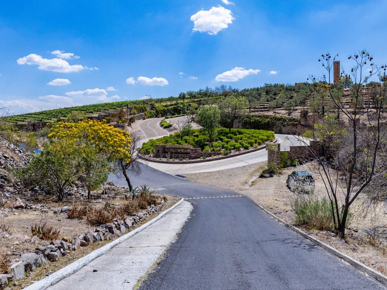 LOTE MERLOT — 2 photos