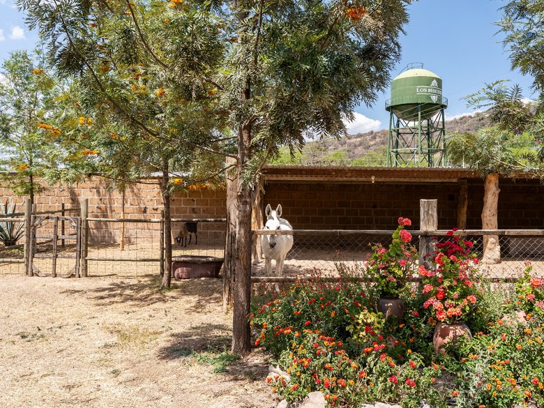 Los Remedios Lot 9 — 8 photos