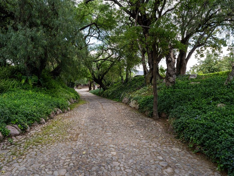 Los Remedios Lot 9 — 7 photos