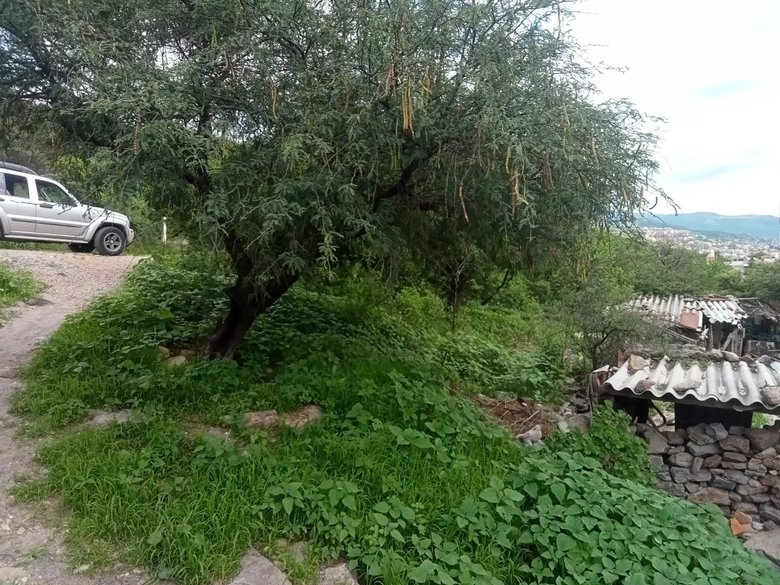 Lote Espiga — 1 photos