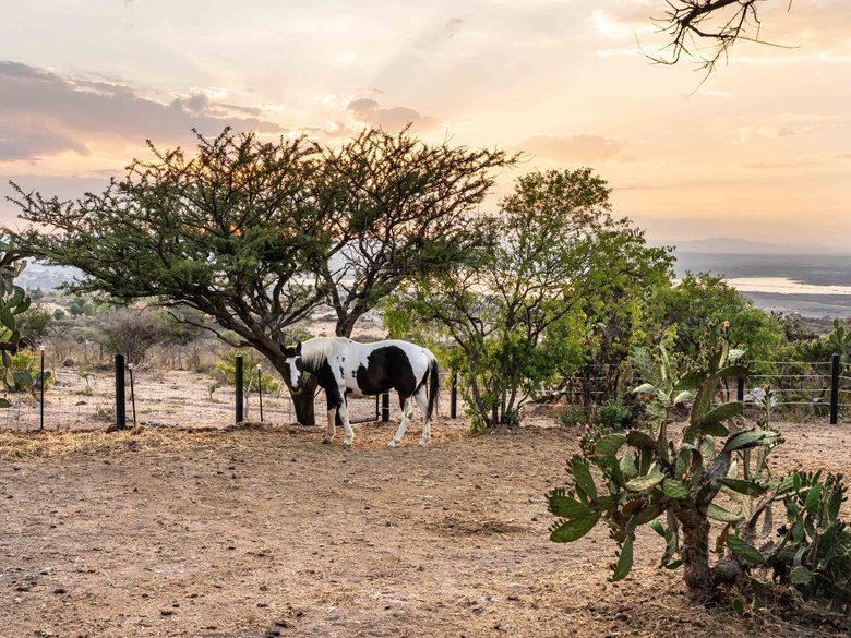Sky Horse Ranch — 15 photos