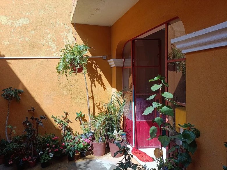 Casa Juan Aldama-Fixer Upper — 9 photos