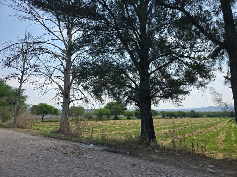 Ranchito Miguel Lot 1 — 4 photos
