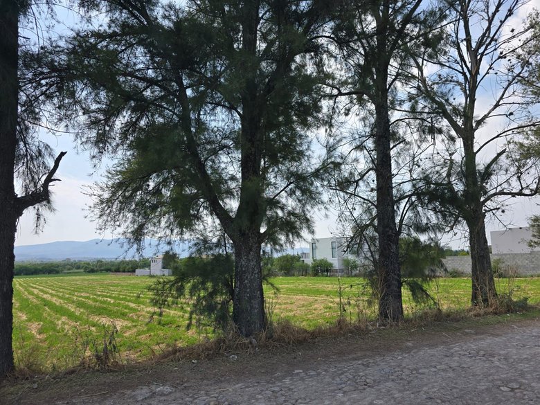 Ranchito Miguel Lot 1 — 2 photos