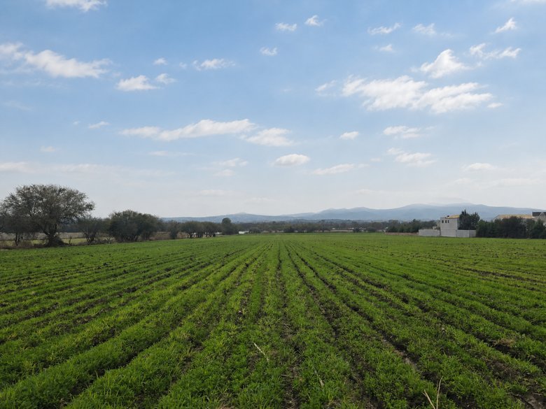 Ranchito Miguel Lot 2 — 3 photos