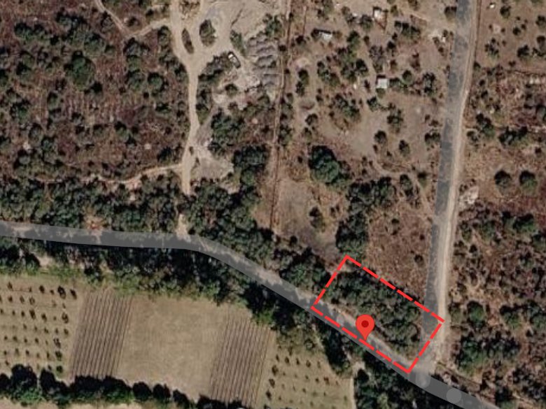 Lote Soledad — 1 photos