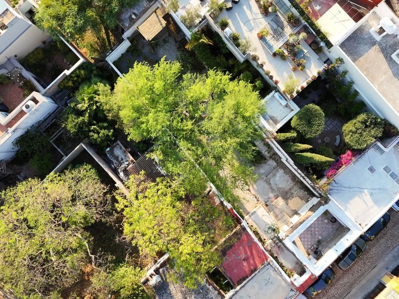 Barranca 67, A Rare Opportunity in Centro — 23 photos