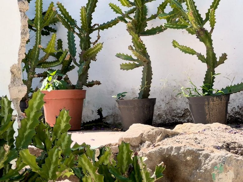 Barranca 67, A Rare Opportunity in Centro — 20 photos