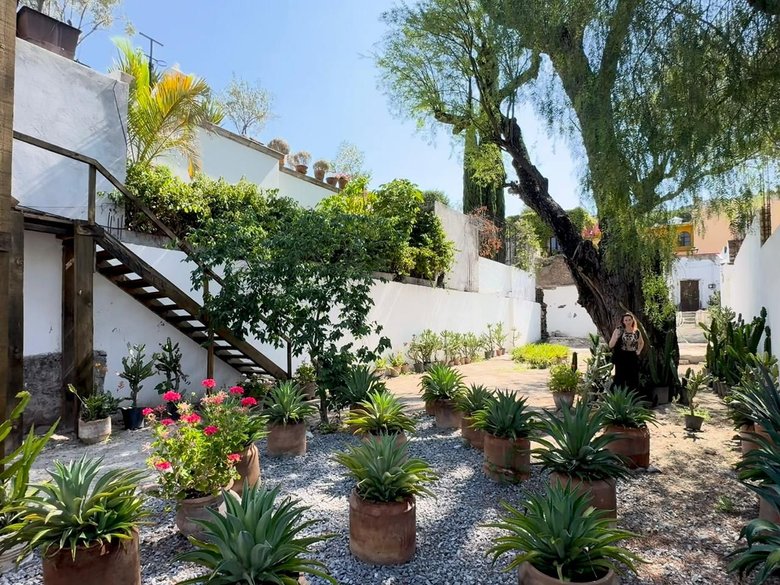 Barranca 67, A Rare Opportunity in Centro — 15 photos