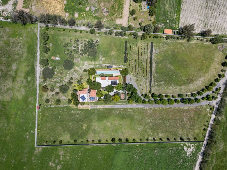 Land - Villa Los Olivos — 7 photos