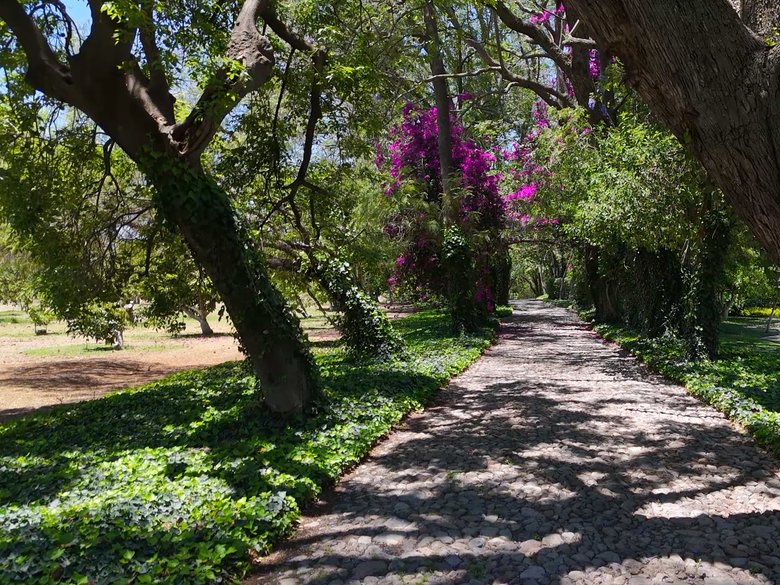 Lote Los Remedios -  T5 M6 — 5 photos