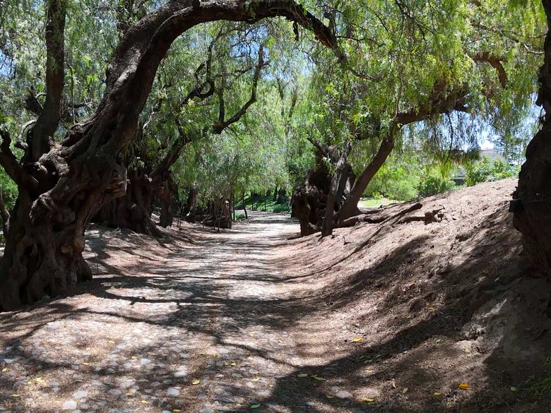 Lote Los Remedios - T4 M5 — 8 photos