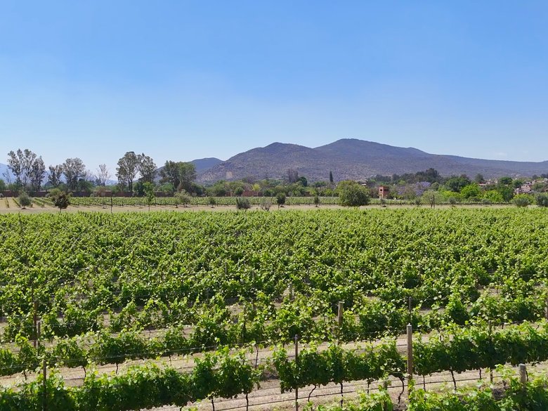 Lote Los Remedios - T4 M5 — 10 photos