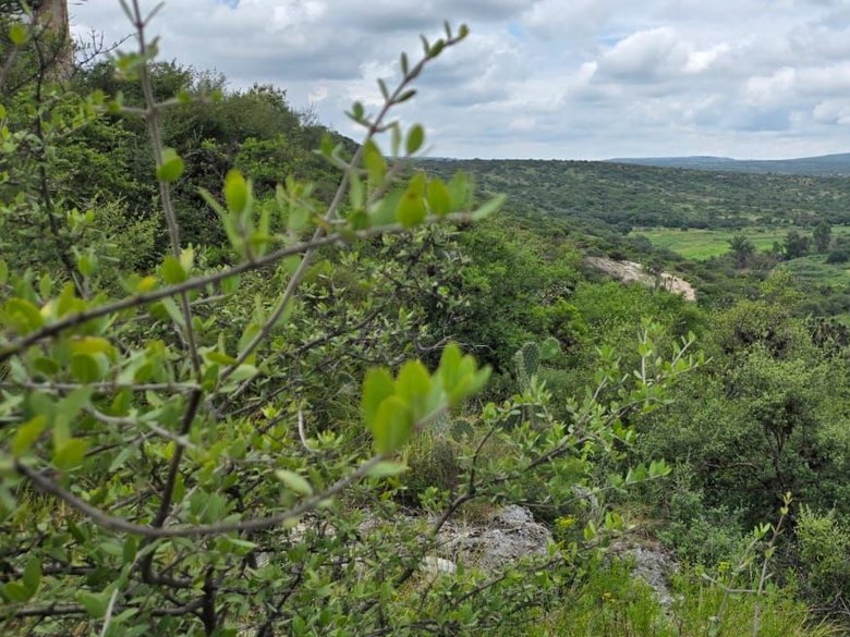 LOT ATOTONILCO — 1 photos