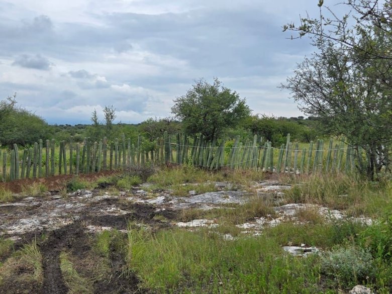 LOT ATOTONILCO — 2 photos