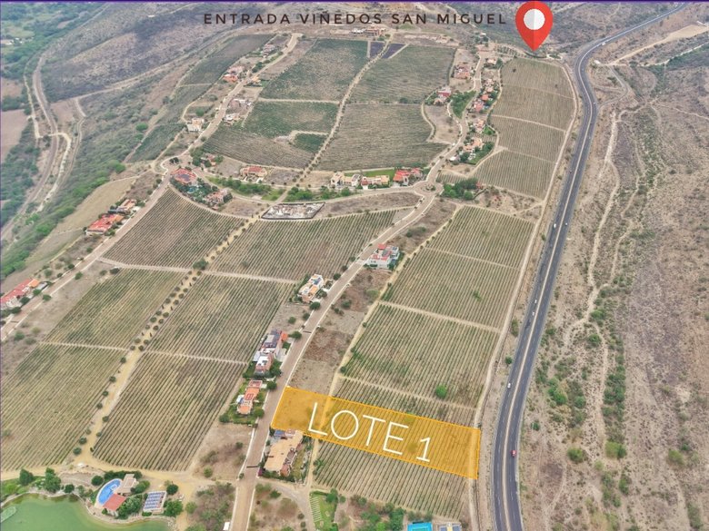 Merlot Lote 1 — 7 photos