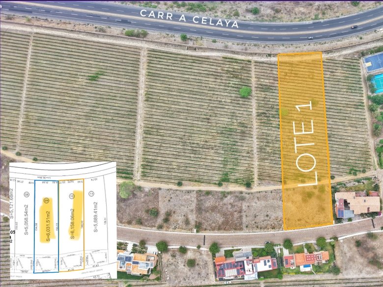 Merlot Lote 1 — 6 photos