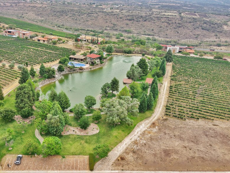 Merlot Lot 2 — 8 photos