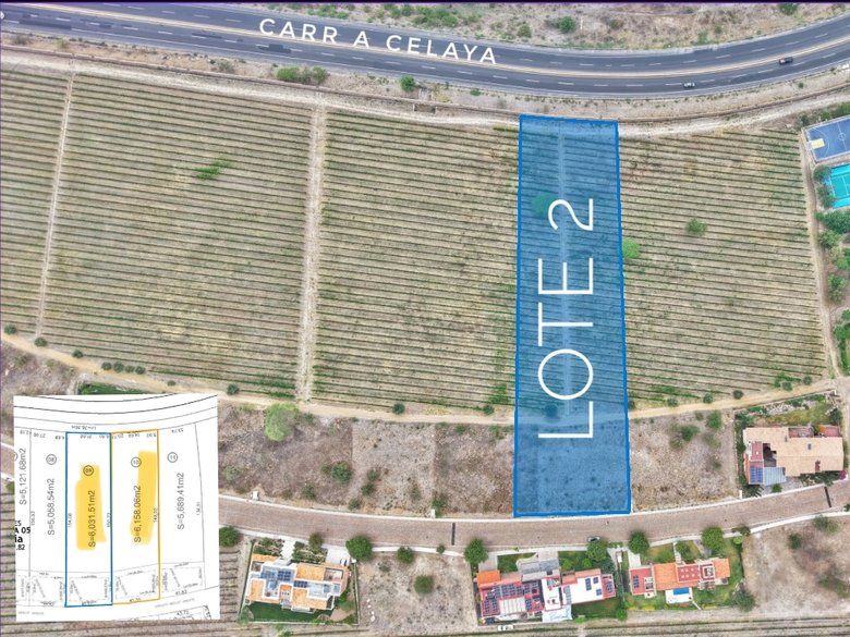 Merlot Lot 2 — 4 photos