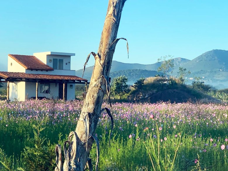 Finca Patanegra on Road to Jalpa — 38 photos