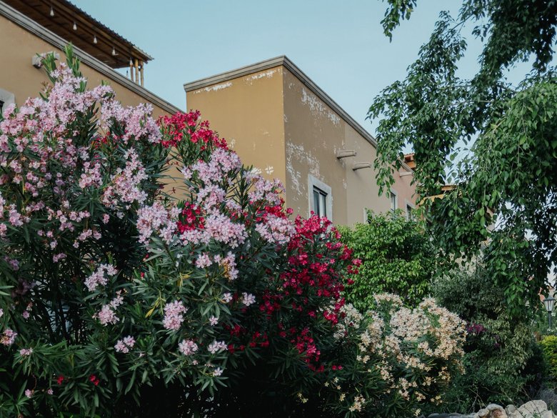 El Milagro Rooftop Apartment — 2 photos