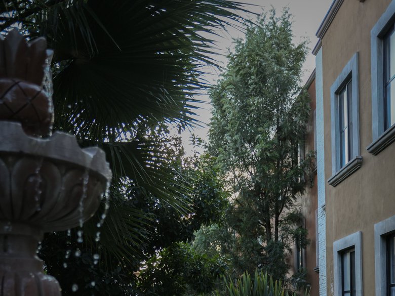El Milagro Rooftop Apartment — 3 photos