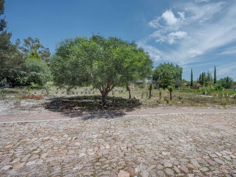 Discover Your Dream Lot in Savilas — 7 photos